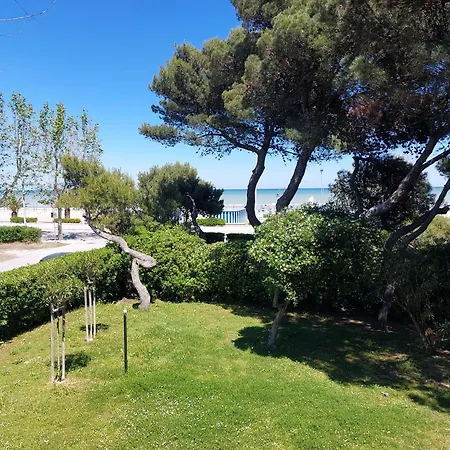 Il Gabbiano E Il Calamaro Apartman