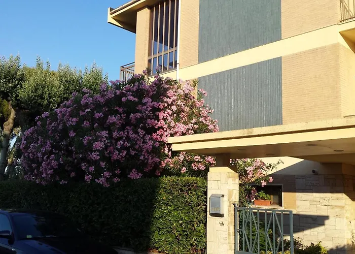 Il Gabbiano E Il Calamaro