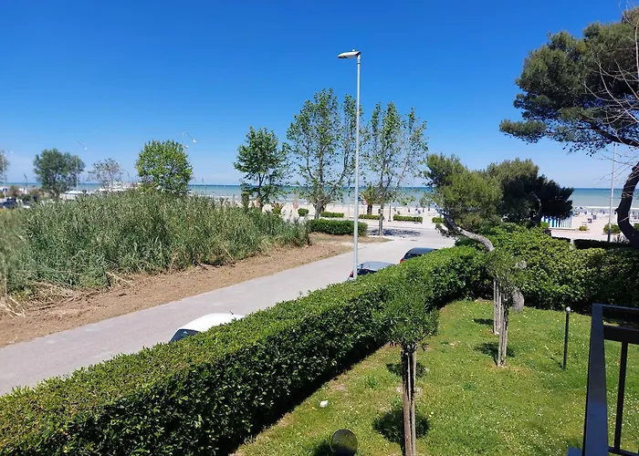 Il Gabbiano E Il Calamaro