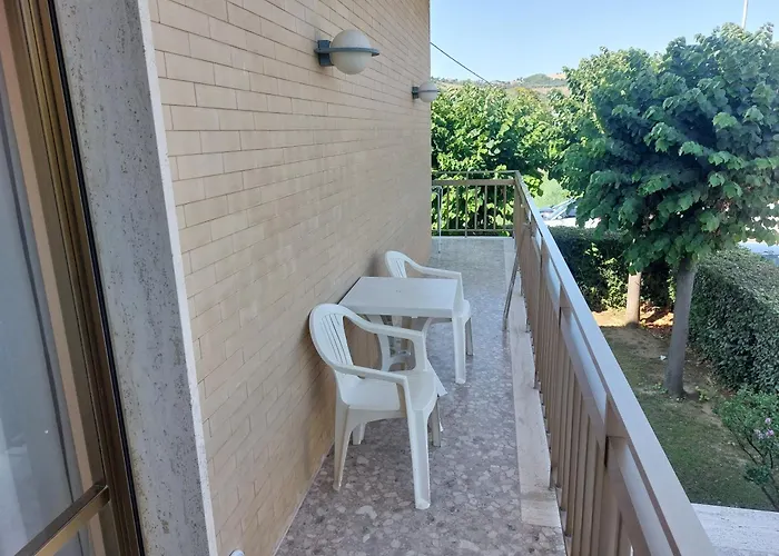 Il Gabbiano E Il Calamaro Giulianova