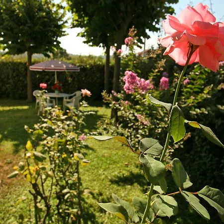 Apartment Il Gabbiano E Il Calamaro