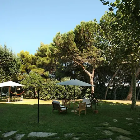 Il Gabbiano E Il Calamaro * Giulianova