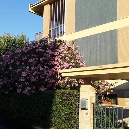 Il Gabbiano E Il Calamaro