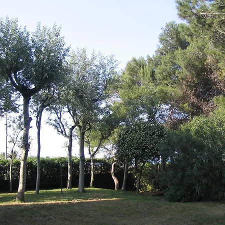 Apartment Il Gabbiano E Il Calamaro