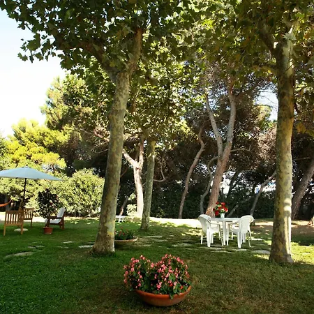 Il Gabbiano E Il Calamaro Giulianova