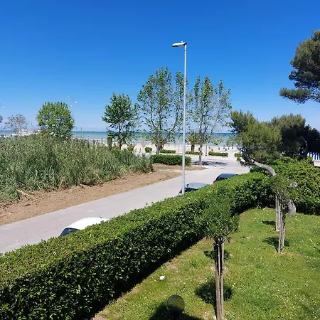 Il Gabbiano E Il Calamaro