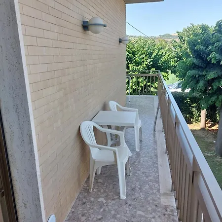 Il Gabbiano E Il Calamaro Giulianova