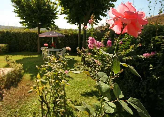 Apartamento Il Gabbiano E Il Calamaro