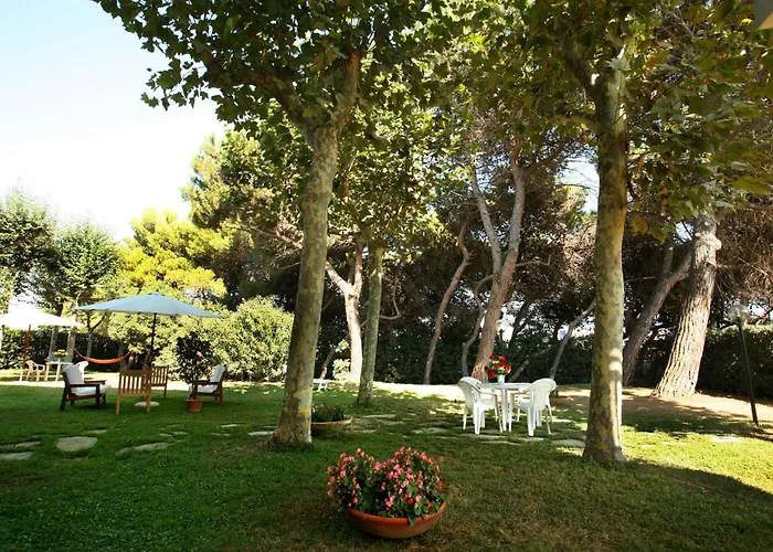 Il Gabbiano E Il Calamaro Giulianova